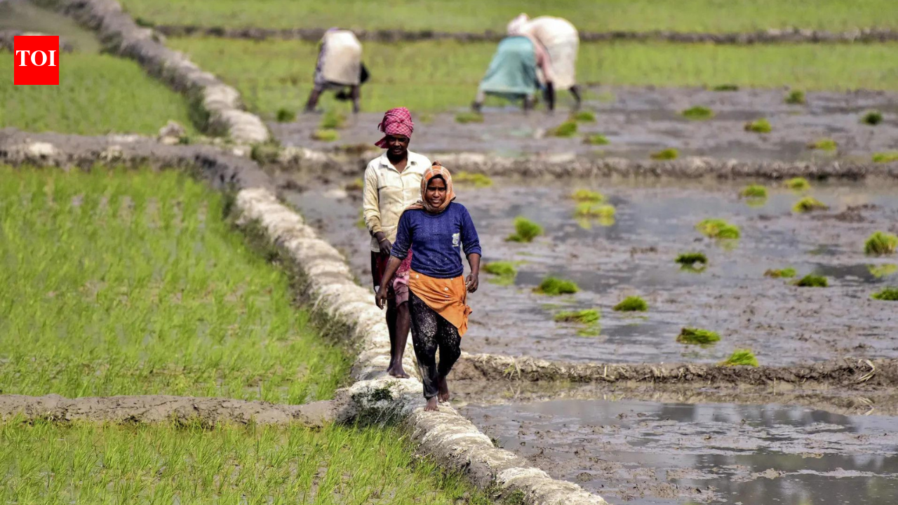 Agriculture scientists and innovative farmers get Padma Shri boost for their pioneering efforts