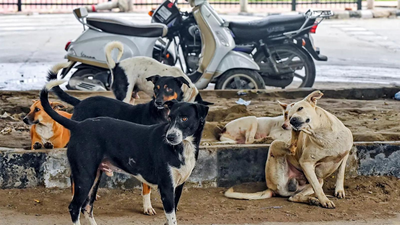 Mass dog killings rattles Telangana: 200 more canines found dead in Hanamkonda; toll rises to 1,100