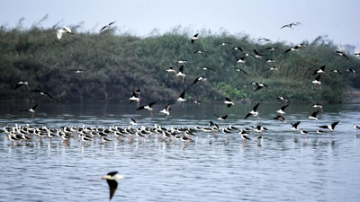 Decline of Himalayan rivers could trigger nuclear war: UK report