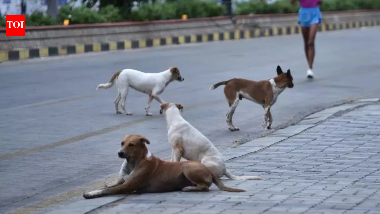 Mass killing of stray dogs continues: 200 more killed in Telangana, toll crosses 1,000 in a month