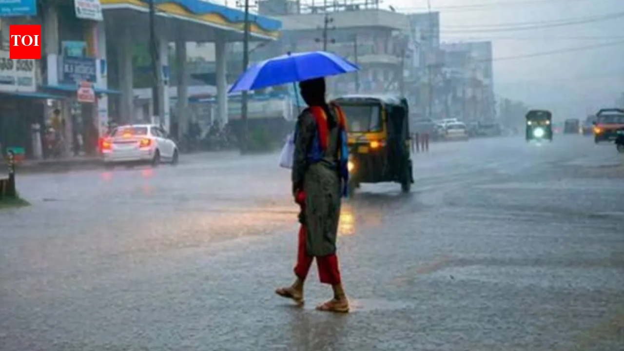 New Delhi weather forecast: Rain expected, mild temperatures; lingering air pollution concerns