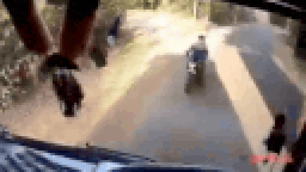 Fatal Udupi crash on camera: Helmet-less biker attempts high-speed overtake on blind curve, slams into bus