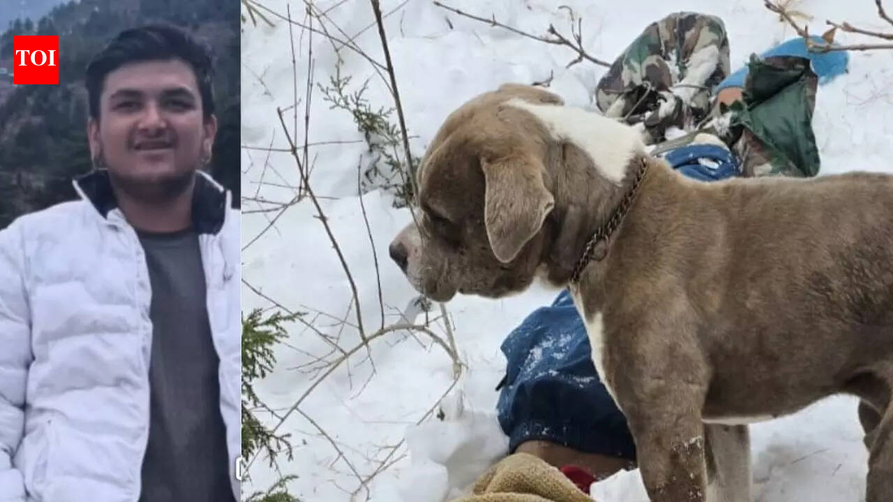 Trapped in snow while filming reels: Chamba teens’ final hours, last phone call and a loyal pitbull guarding the bodies