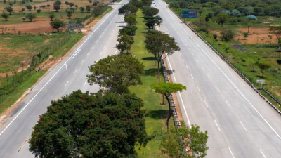 How many trees planted in 8 years for Delhi-Mumbai Expressway project? No one knows