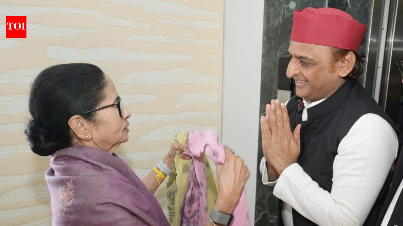 'Didi defeated ED, now she will defeat BJP': Akhilesh Yadav meets Mamata Banerjee; extends support ahead of West Bengal polls