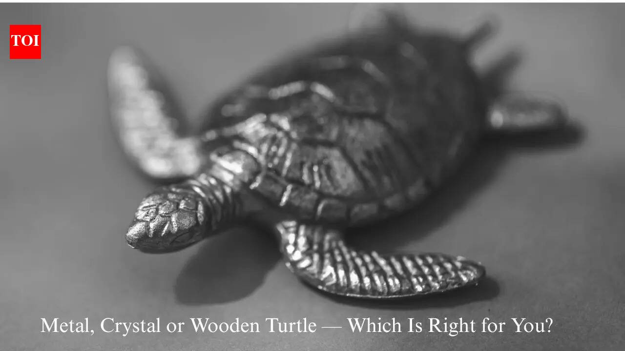 Metal, Crystal or Wooden Turtle — Which Is Right for You?