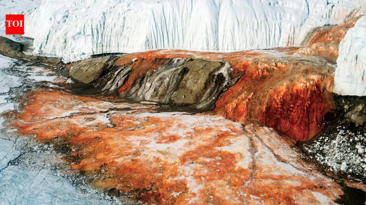 ‘Bleeding waterfalls of Antarctica’: Inside the mysterious crimson 'blood falls' that hide millions of years of frozen secrets