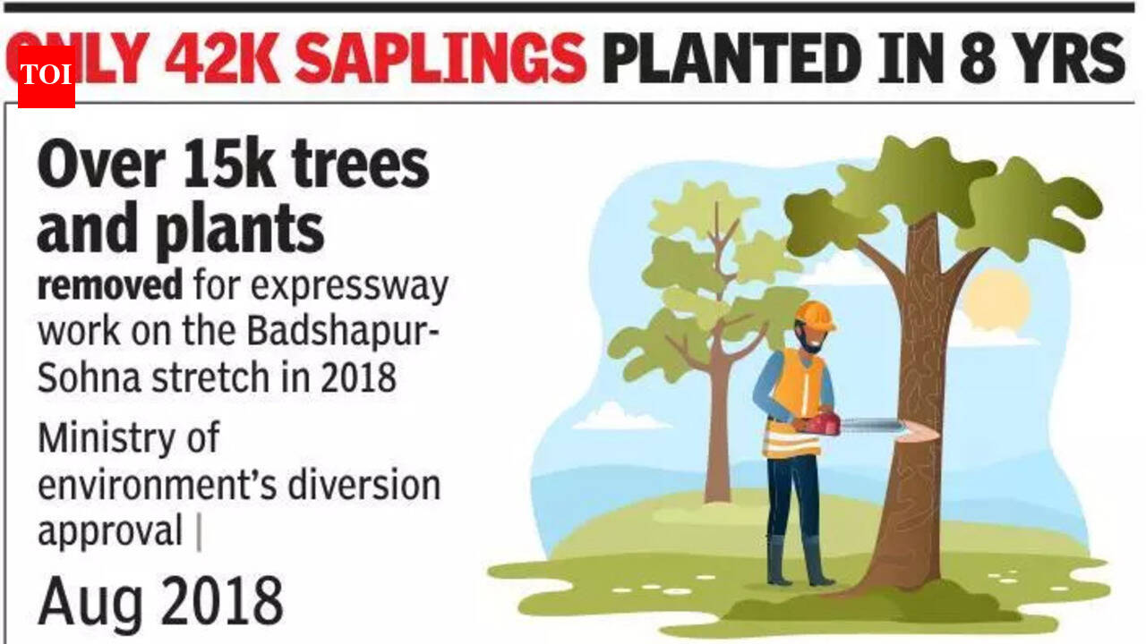 How many trees planted in 8 years for Delhi-Mumbai eway project? No one ...