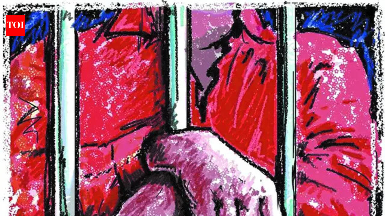 Bike thief gets over 2-year prison term