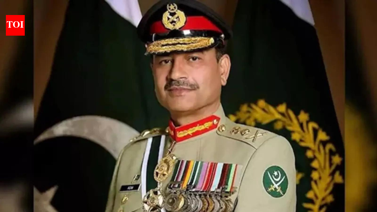 'Introspect your constitutional coup': India targets Pak over lifetime immunity to Munir