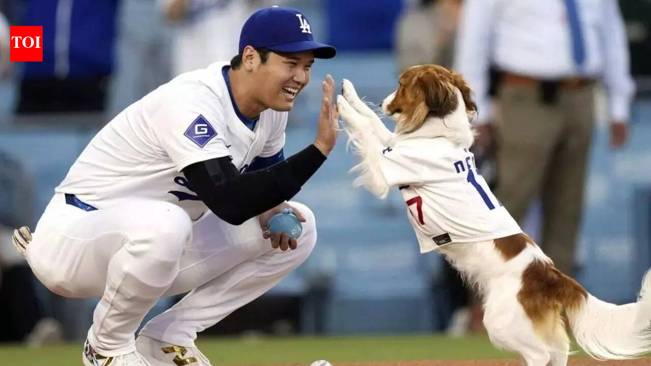 Shohei Ohtani’s dog Decoy gets his own award as Los Angeles Dodgers star keeps making history