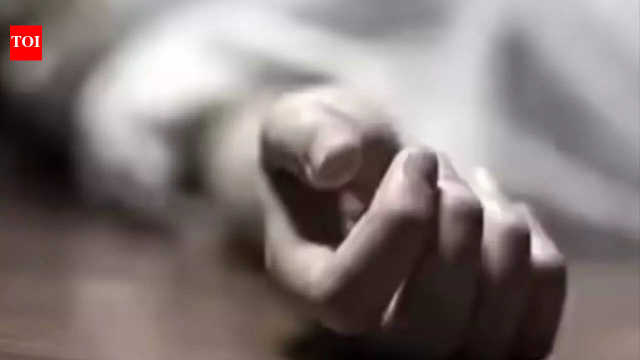 Multiple stab wounds, strangulation: US teen charged with murder of retired grandparents in South Carolina