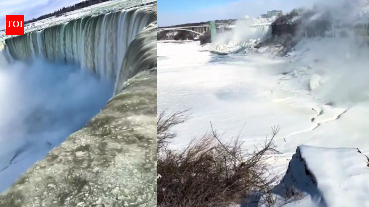 Niagara Falls frozen in -20 degrees: How a record polar vortex turned the mighty waterfall into a surreal ice wonderland
