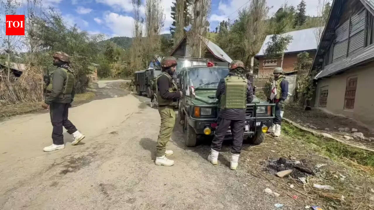 Op Trashi-I: Searches continue in Kishtwar after fresh gunfight