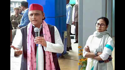 ED, CBI extended arms of BJP: Akhilesh in WB