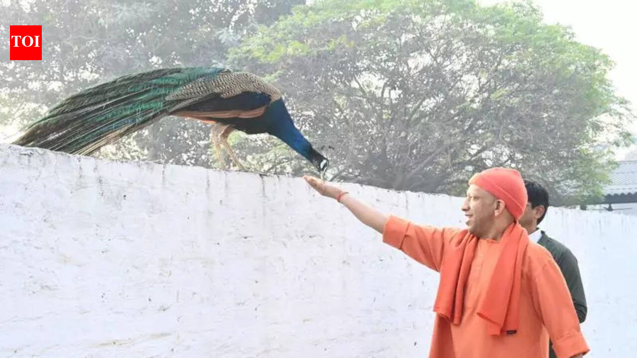 CM: UP’s new identity irks casteist & dynastic forces | Varanasi News ...