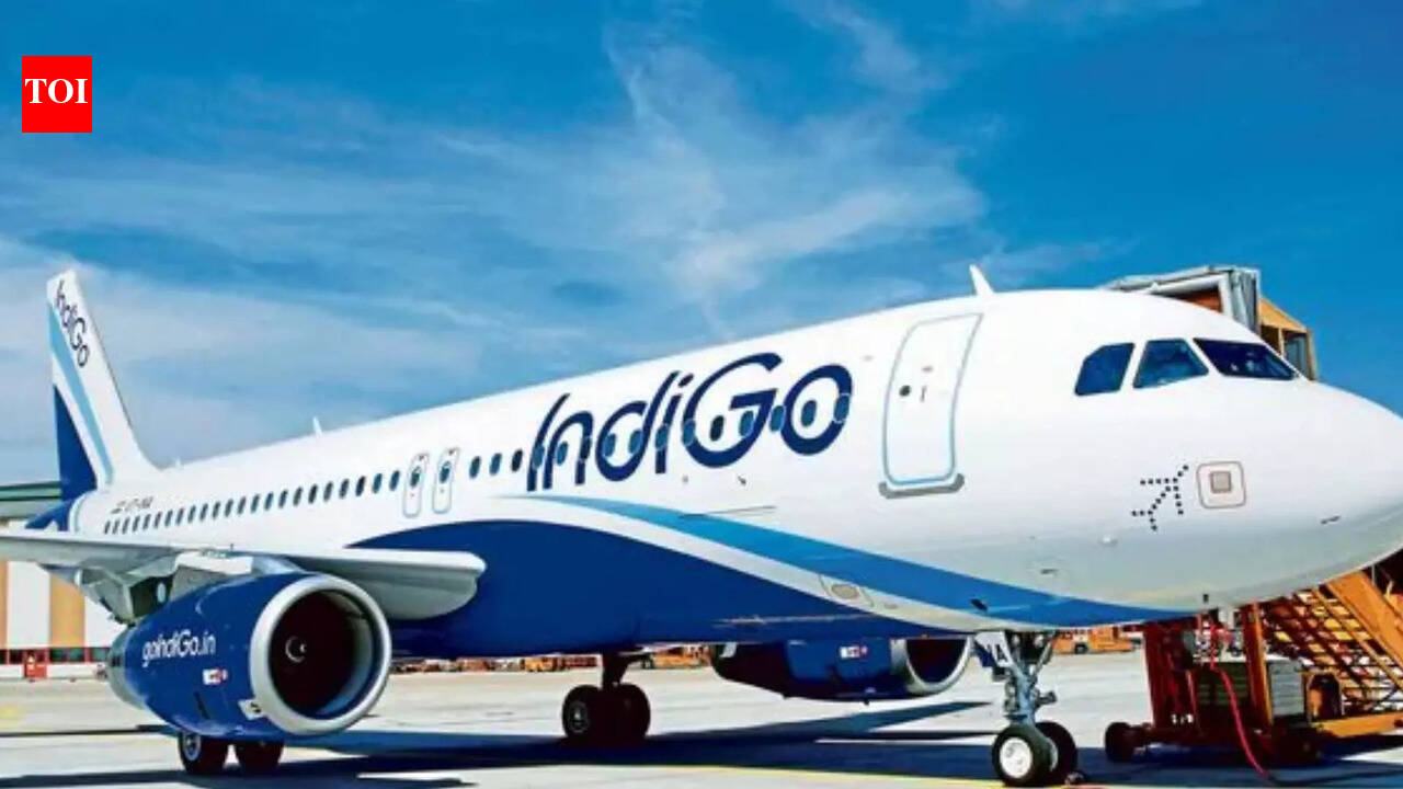 IndiGo extends flight cancellations to Tbilisi, Baku, Almaty and Tashkent till Feb 11