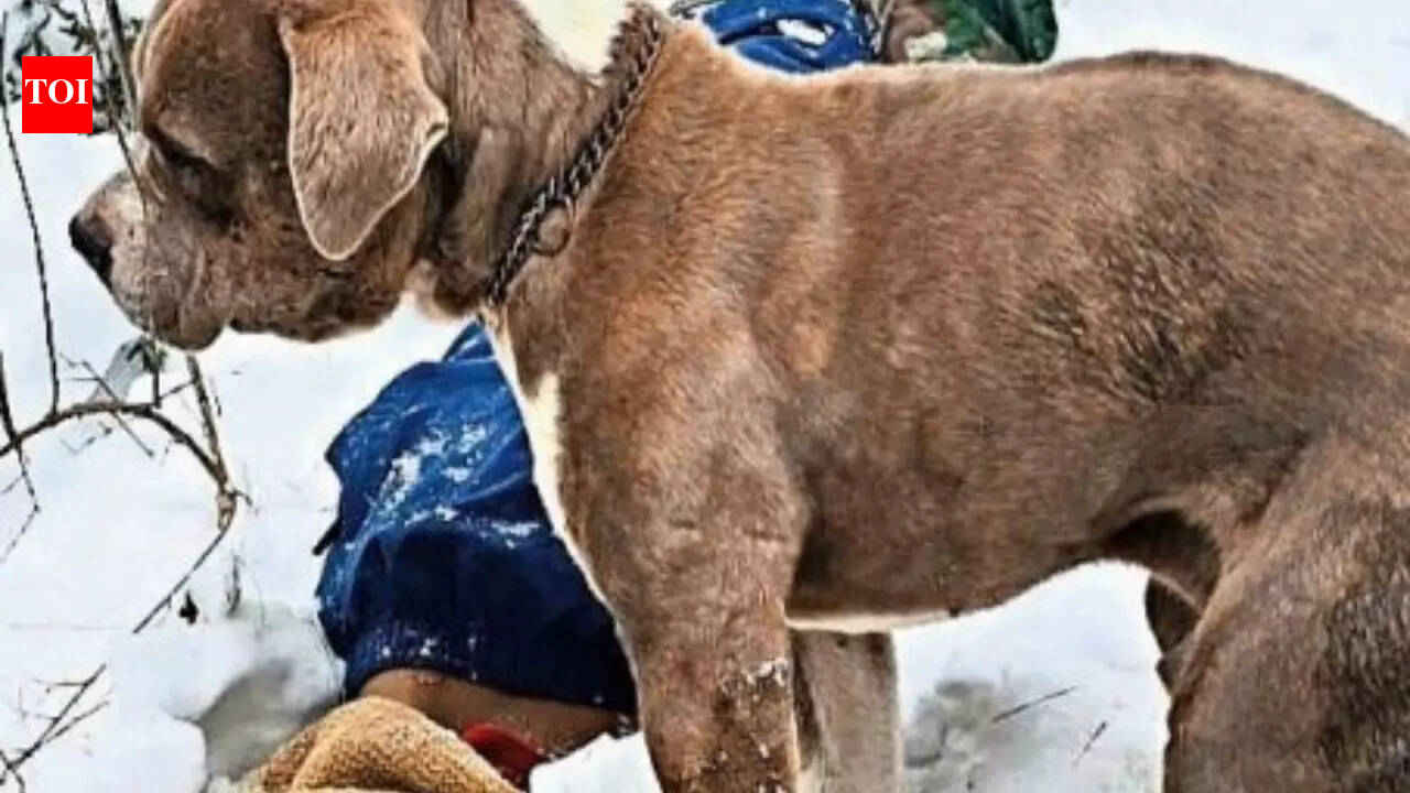 Cousins die in snow, pitbull stands guard for 4 days