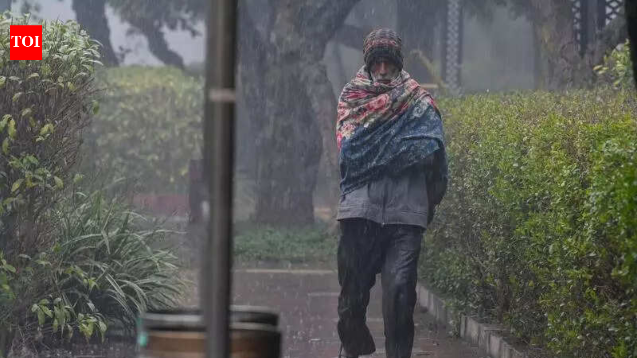 Delhi sees wettest January in 4 years, February to start with rain