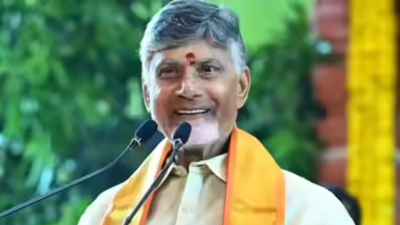 Andhra Pradesh CM N Chandrababu Naidu assures tobacco growers to exert pressure on Centre