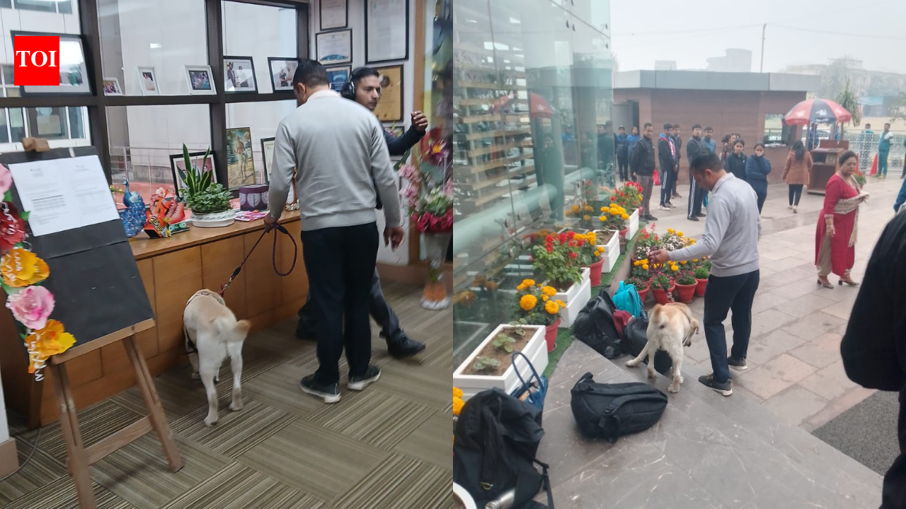 Bomb threat email triggers security alert at Gurgaon schools; no suspicious object found