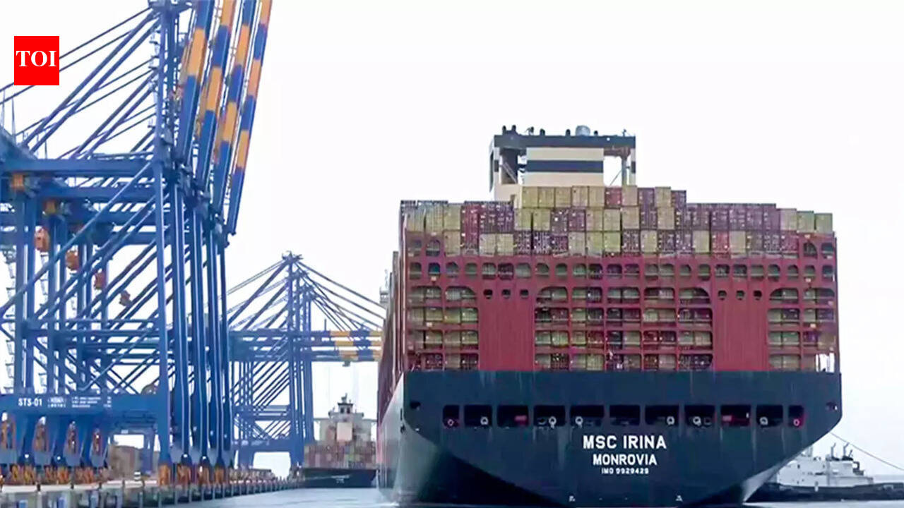 India an ideal destination for increased Canadian energy exports: Analysts