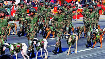  Indigenous canines march into Republic Day spotlight