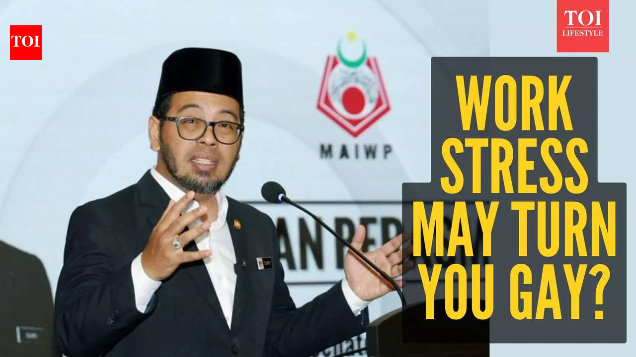 Malaysia minister blames work stress for LGBT ‘behaviour’: What science says