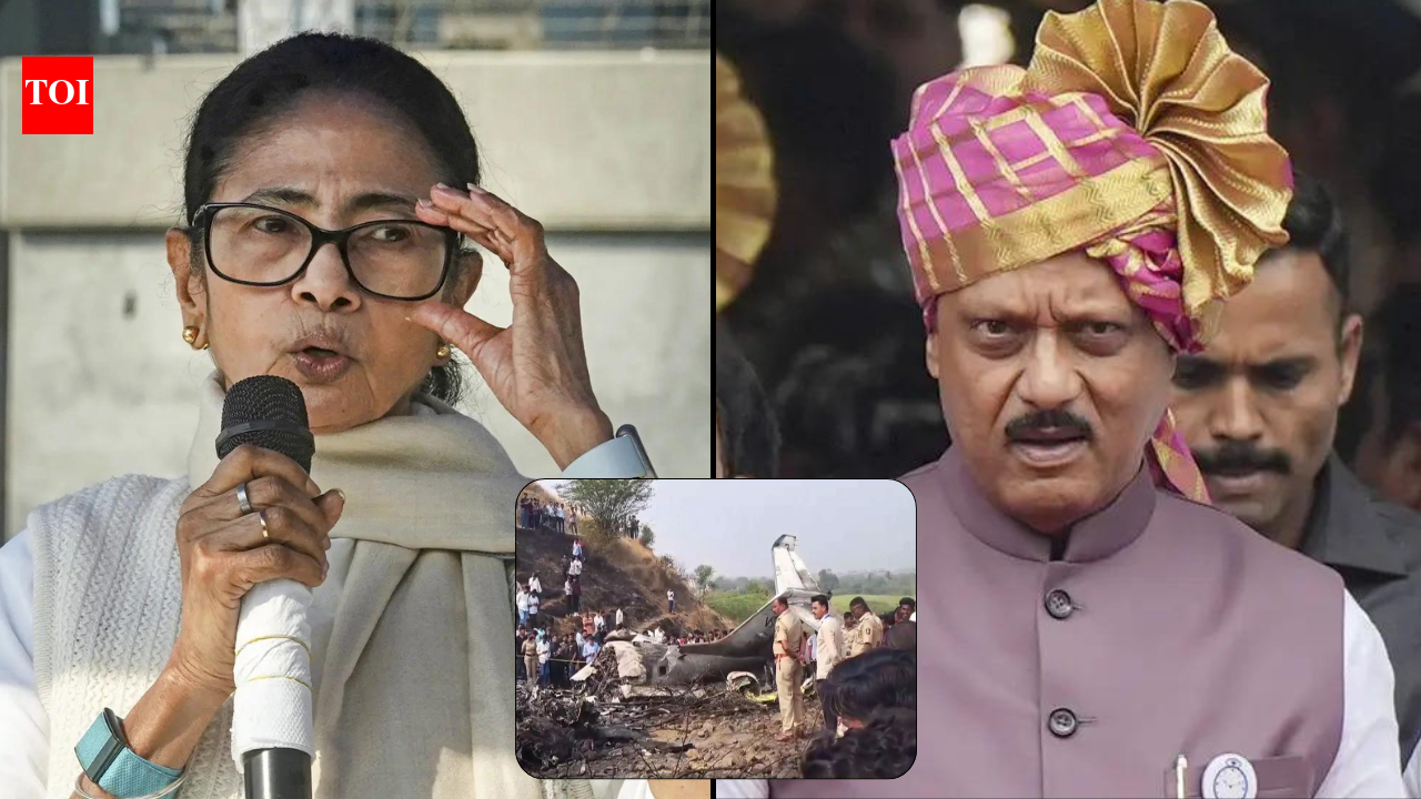 'Was willing to leave BJP': Mamata floats conspiracy theory on Ajit Pawar's death