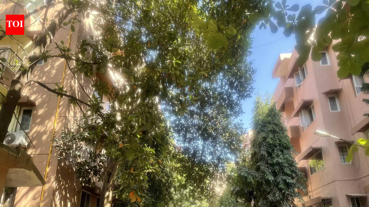 Apartment Redevelopment: Lessons Karnataka Must Learn Before It's Too Late