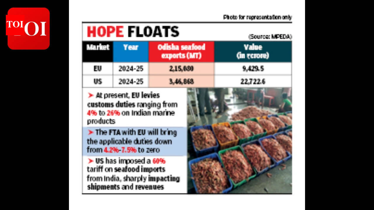 Odisha seafood exporters hope for surge: India-EU FTA opens new avenues after US tariff woes