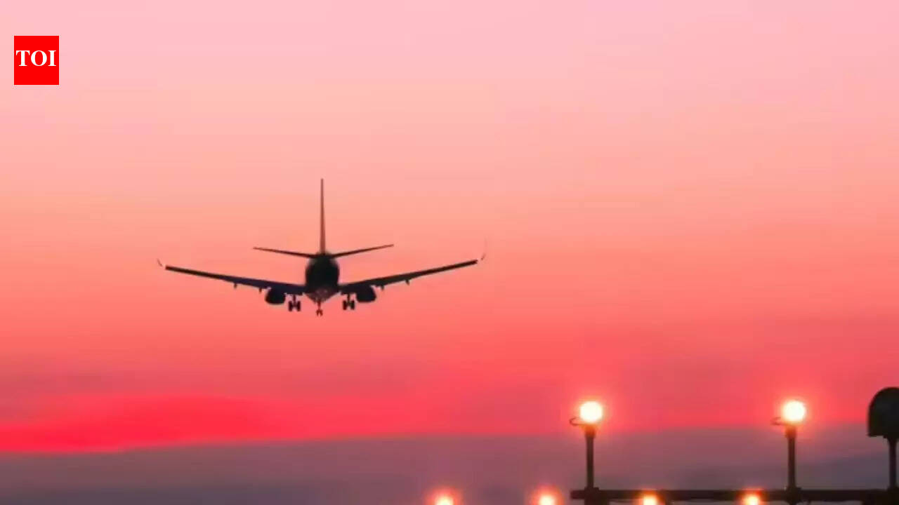 Minnesota woman found dead on UK-bound flight after falling asleep on mother’s shoulder