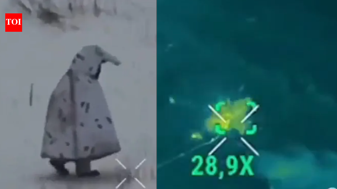 Watch: Russian soldier camouflaging in penguin costume blasted by Ukrainian drone