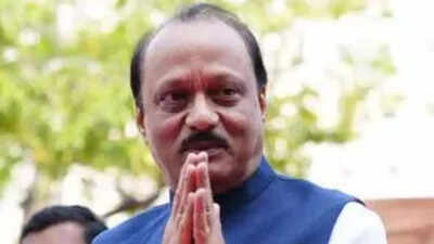 'Snatched Away Ajit Pawar Ji': PM Modi Remembers Maharashtra Dy CM After Baramati Plane Crash