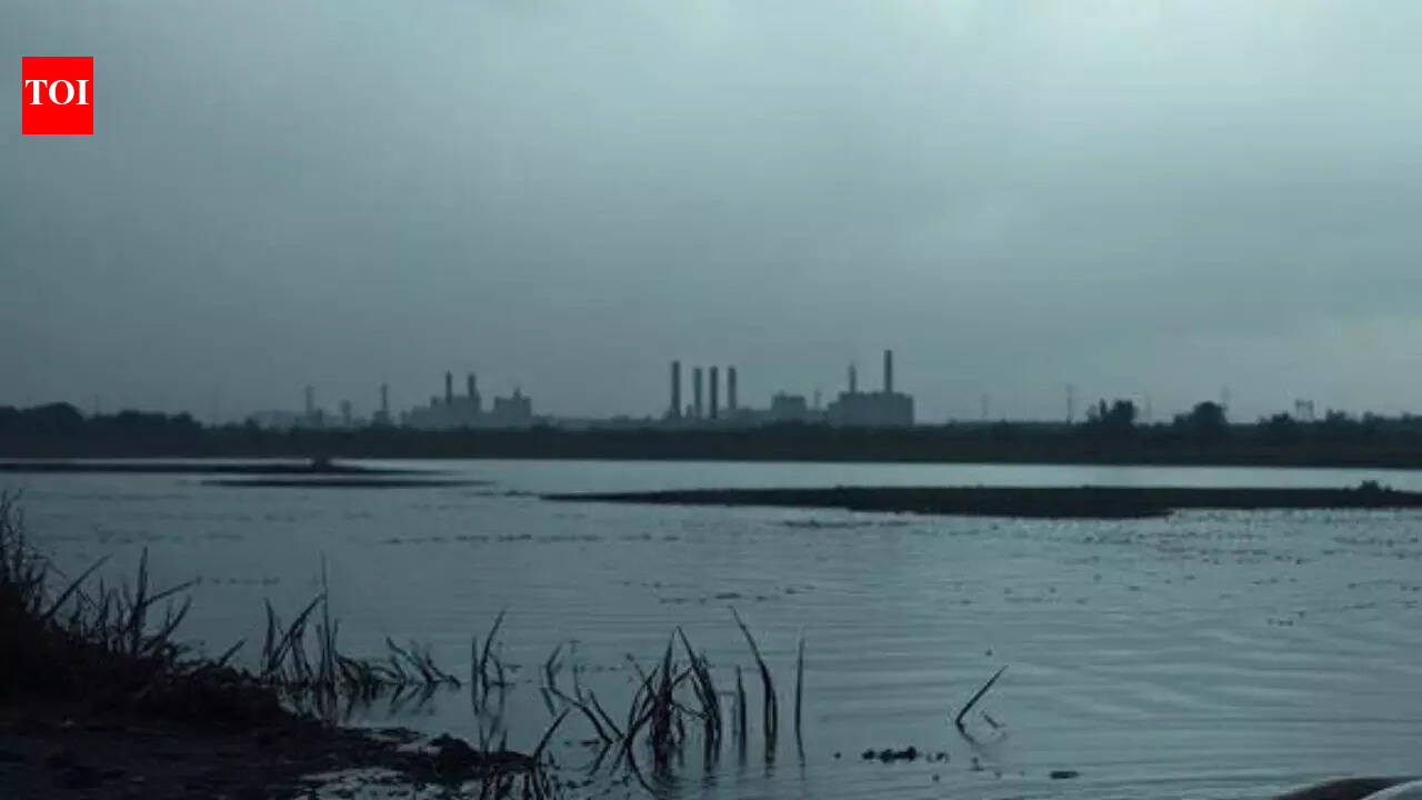 Pune: 3 teens lure friend via fake profile of girl, murder him and dump body in river