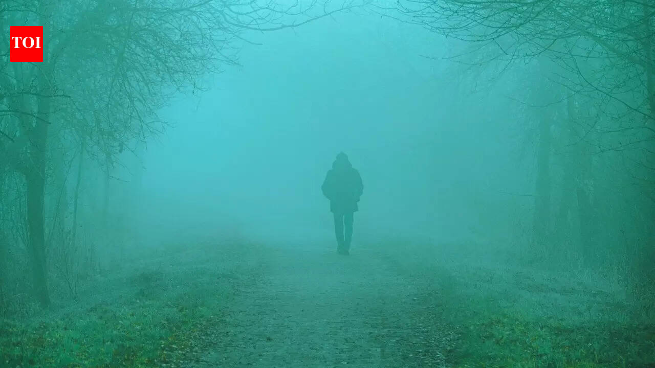 What’s the weather today: Fog, cold waves and snowfall likely to disrupt travel across these north Indian states