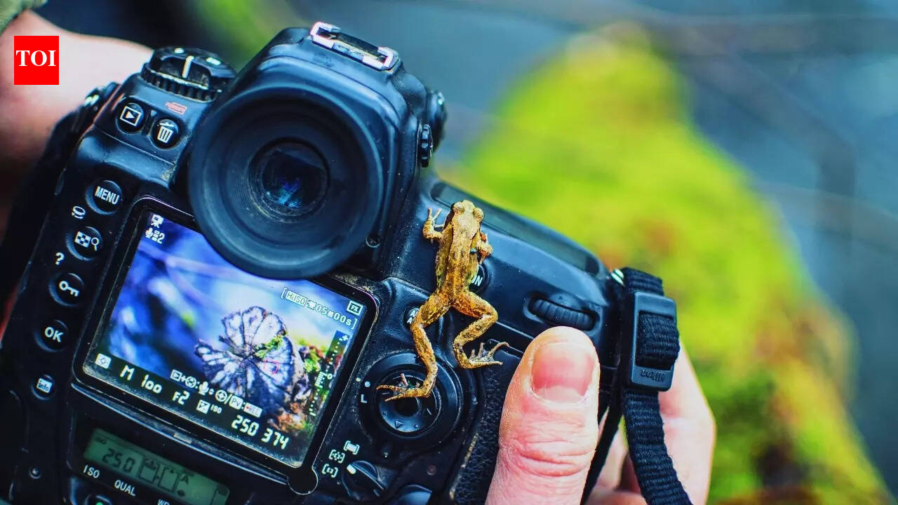 Travel Photographer of the Year Awards 2025: The photo of this Indian destination stole the show