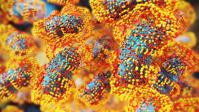 Nipah virus can remain dormant for up to 45 days: Doctors reveal why this silent period is dangerous