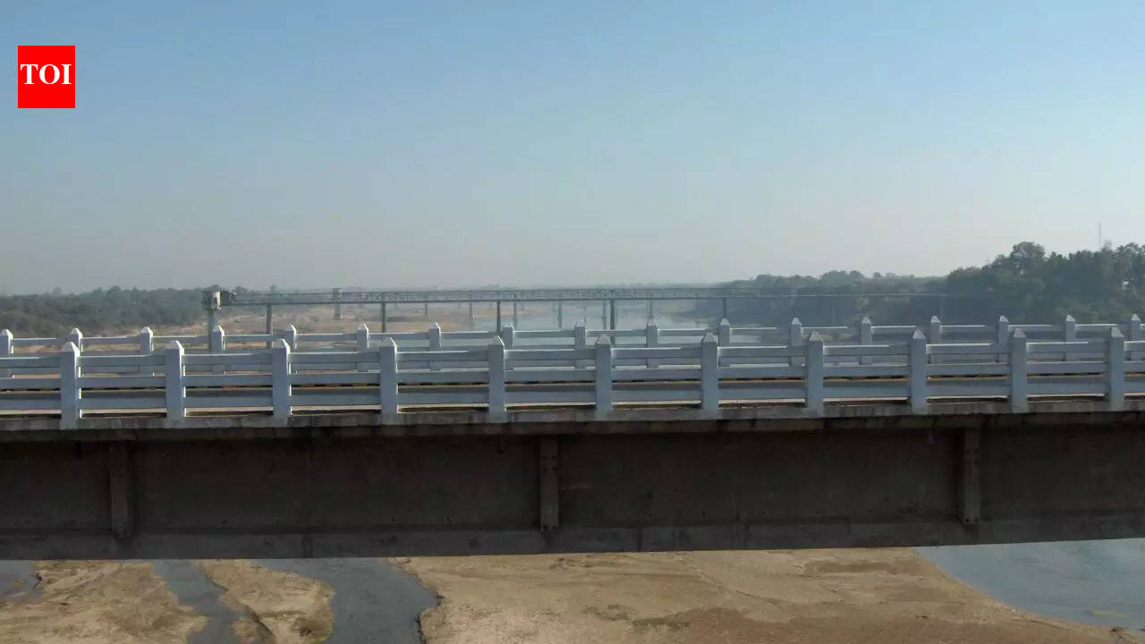 Inside India’s “crocodile river” in Gujarat where reptiles live beside homes and roads