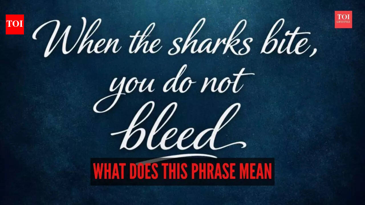 What does the phrase “When the sharks bite, you do not bleed” mean