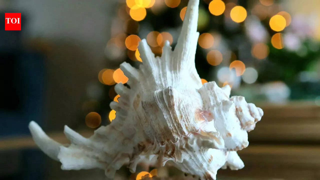 What is Conch Shell? Vastu benefits and the right way to place Shankh