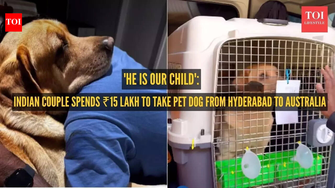 Indian couple spends ₹15 lakh to take pet dog from Hyderabad to Australia: 'He is our child'