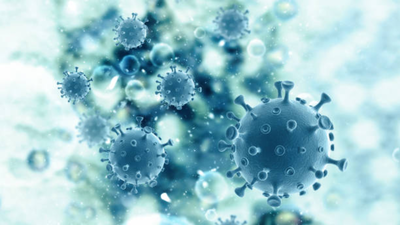 Karnataka man dies of Kyasanur Forest Disease (monkey fever): Doctor details symptoms and high-risk season