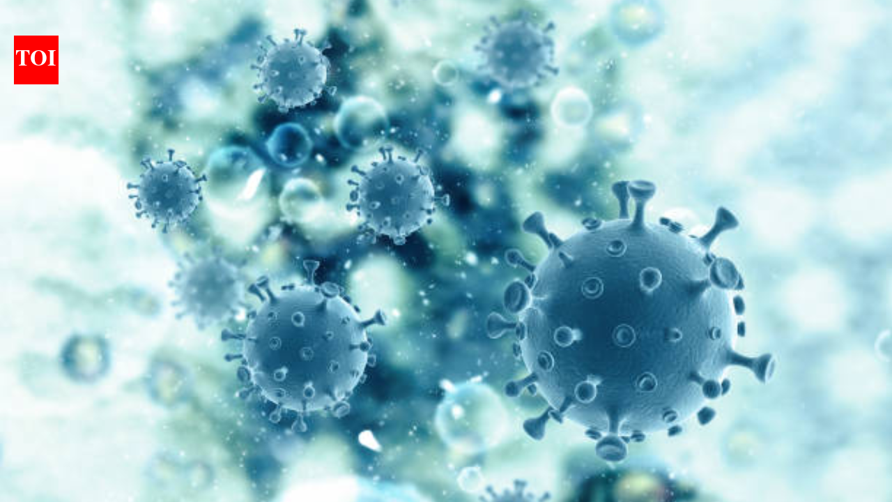 Karnataka man dies of Kyasanur Forest Disease (monkey fever): Doctor details symptoms and high-risk season