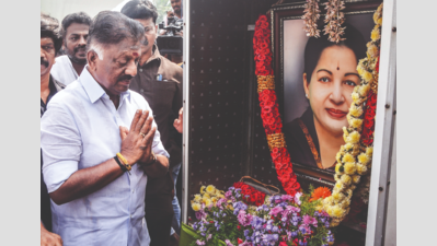 What Led to the Political Wilderness of O Panneerselvam and S Ramadoss After Decades of Influence?