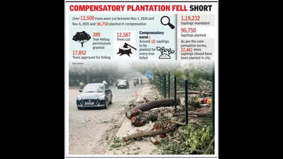 12,500 trees gone from Gurgaon in a year, compensatory plantation falls short by 22k saplings