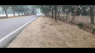 CAQM conducts survey, finds 102 dust hotspots in Greater Noida