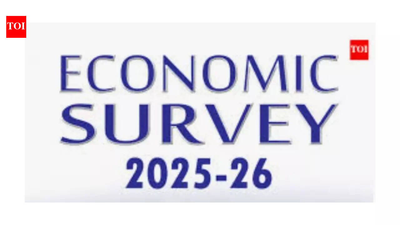 Survey: India resilient, but pvt sector must step up