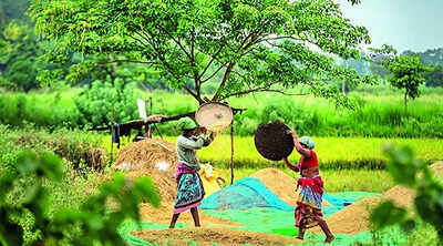 Red flags over sustainability of unconditional cash transfers