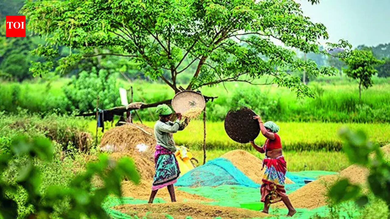 Red flags over sustainability of unconditional cash transfers